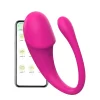 IMG_7116 Huevo Vibrador Vibra Love App 1