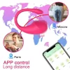 IMG_7119 Huevo Vibrador Vibra Love App 1